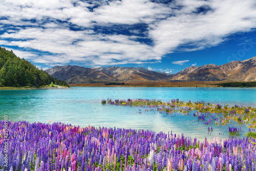 Lake Tekapo, New Zealand photo