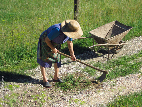 woman plowing the garden for planting vegetables © ChiccoDodiFC