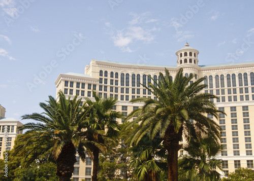 Luxury Hotel Beyond Palm Trees © dbvirago