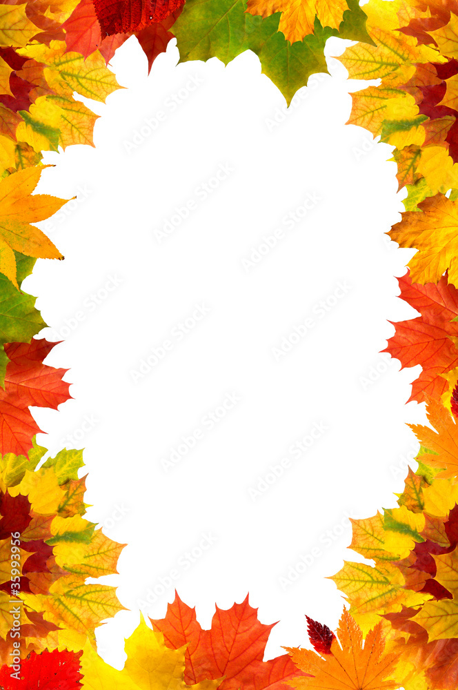Colorful autumn maple leaves card for your text