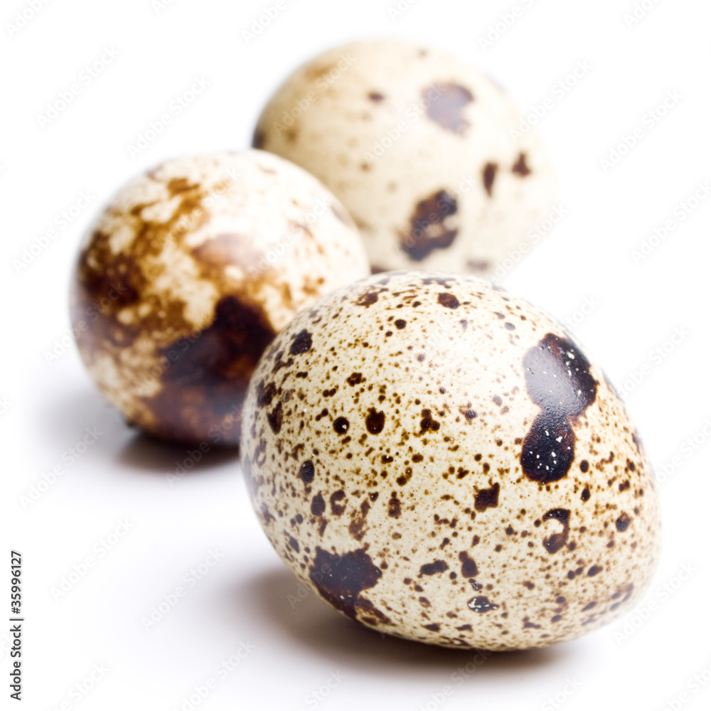 quail eggs isolated on white background close up quail eggs isolated on white background close up