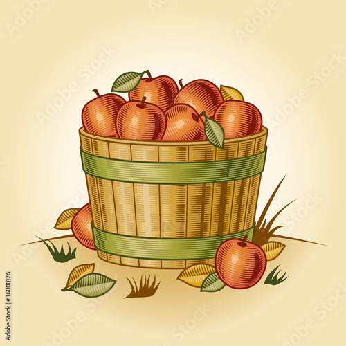 Retro bushel of apples photo