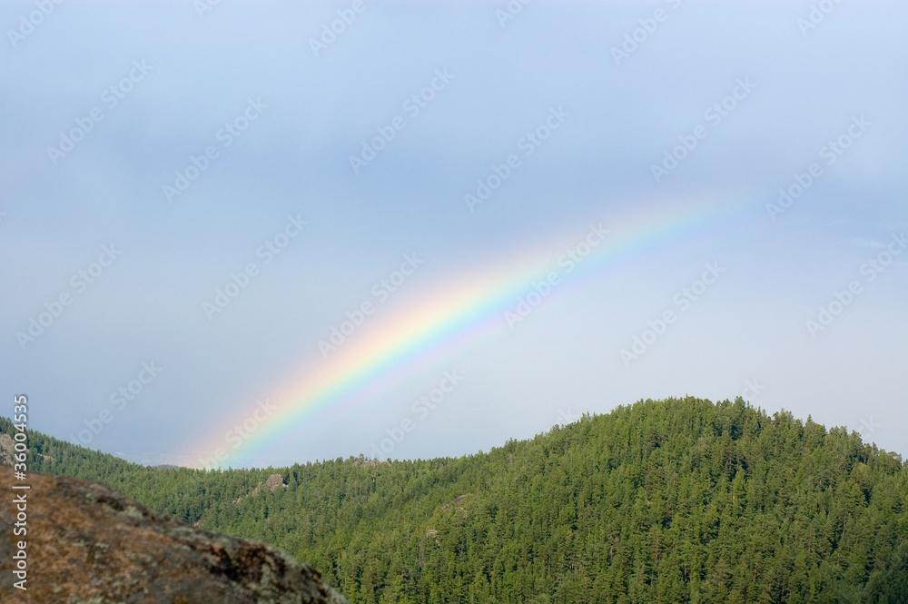 Rainbow over a taiga, Rainbow over a taiga,