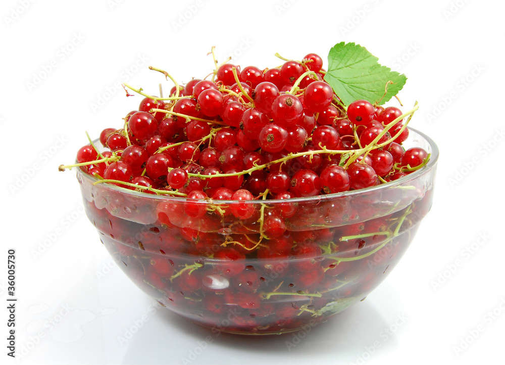 Isolated red currant Isolated red currant