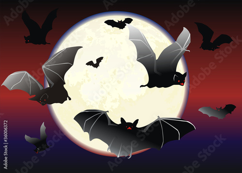 Tela Bats on a moonlit nigth