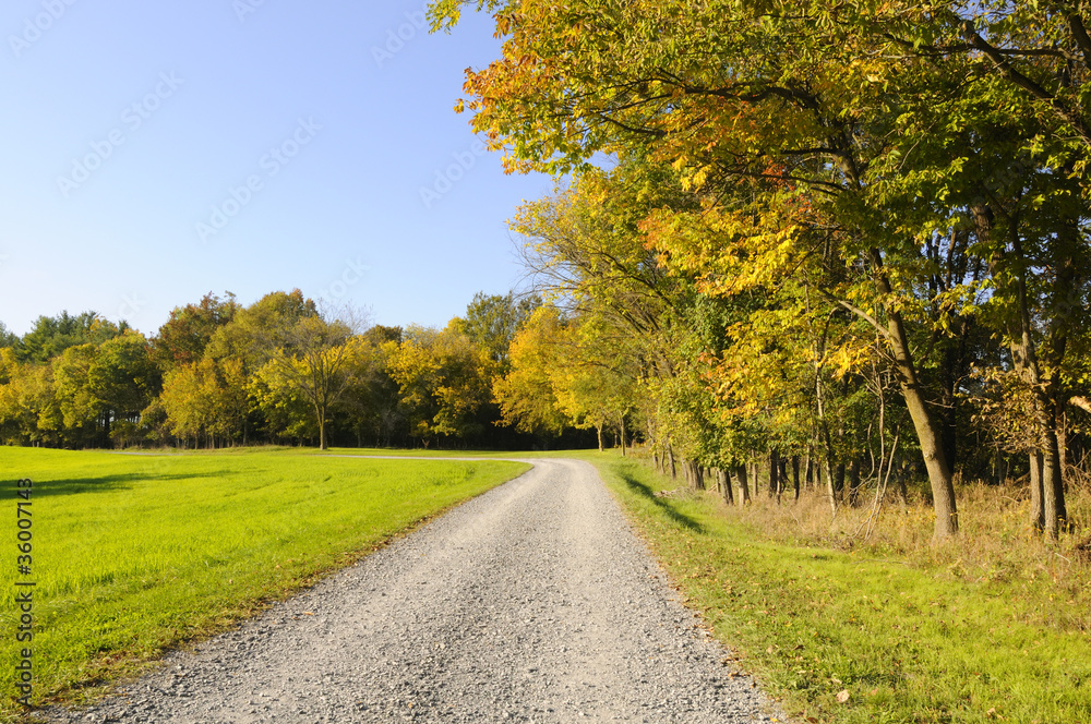 Country Lane in Autumn
