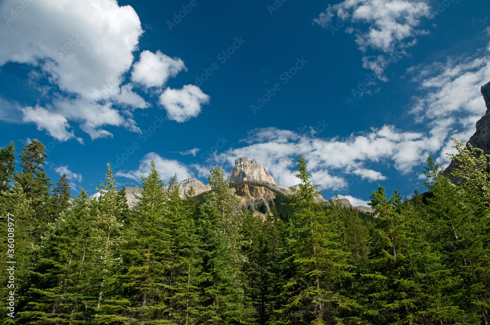 Mountainous panorama Mountainous panorama