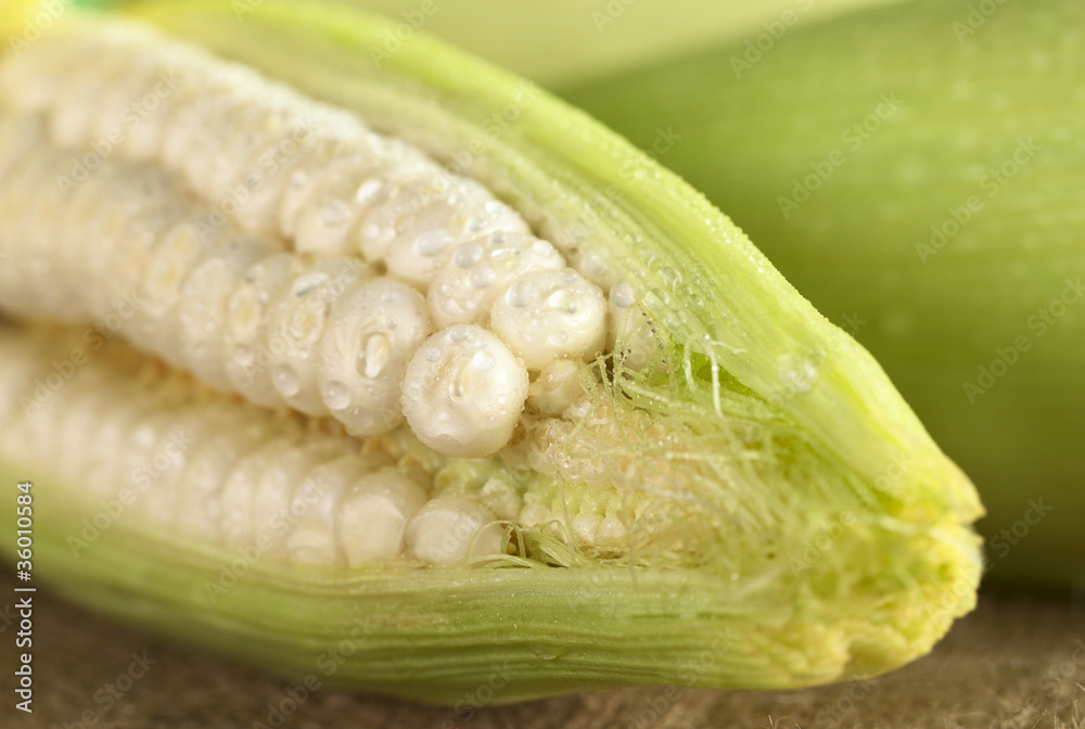 Fresh raw white sweet corn sprinkled with water Fresh raw white sweet corn sprinkled with water