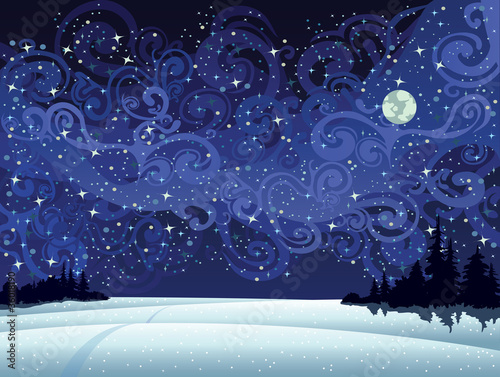 Night snow landscape