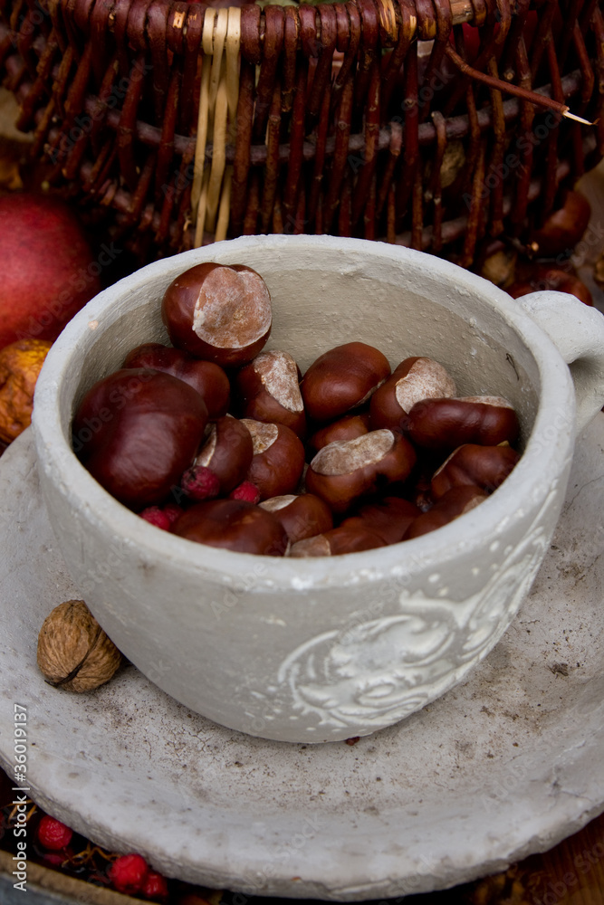 Obraz premium Herbstdekoration