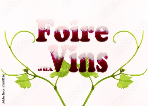 Foire aux vins_vine leaf photo