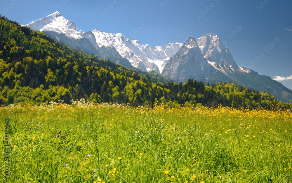 Landscape in the bavarian Alps