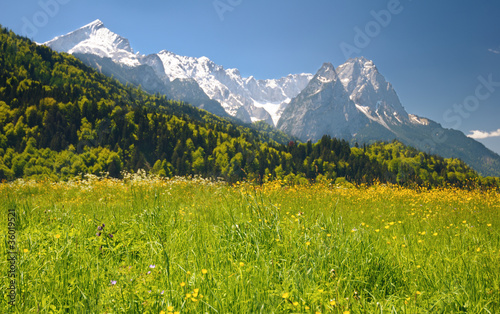 Landscape in the bavarian Alps