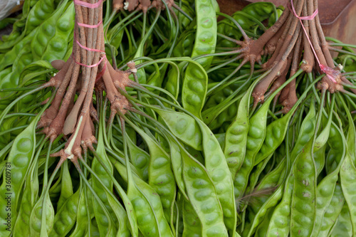 Asiatische Bohne; Parkia speciosa