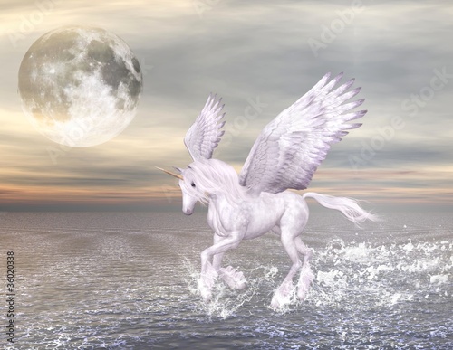 Bellissimo cavallo alato che corre nel mare photo