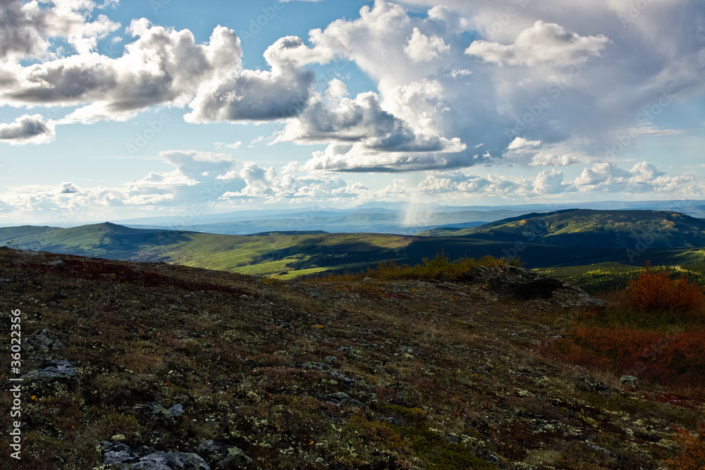 Fototapeta premium Autumn Landscape