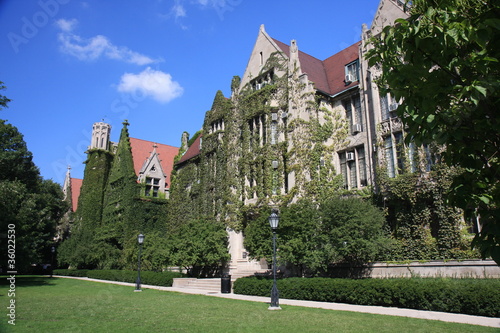 Beautiful ivy clad halls at the university photo