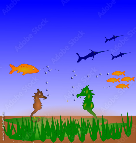 Marine life
