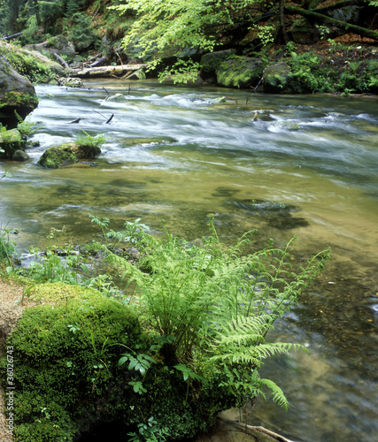 Kamenice river, Ceskosaske Svycarsko, Czech Republic photo