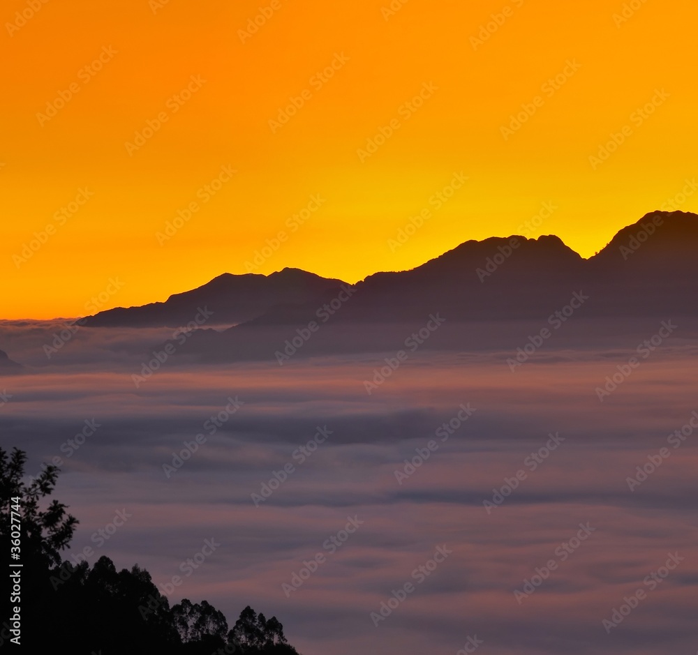 Obraz premium Bruma matinal.