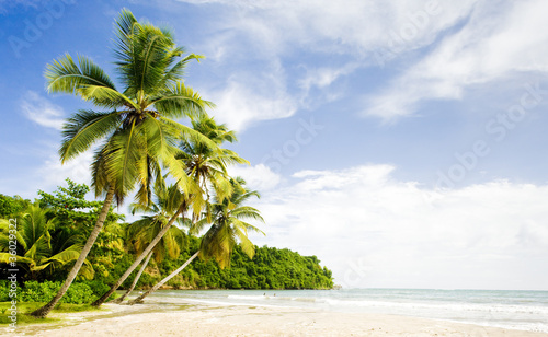 La Sagesse Bay, Grenada photo