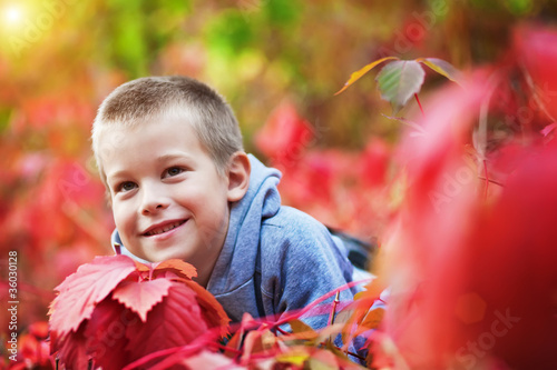 boy sitting in the yellow and rad leaves
