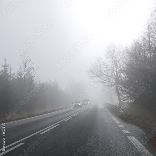 Road, cars and fog