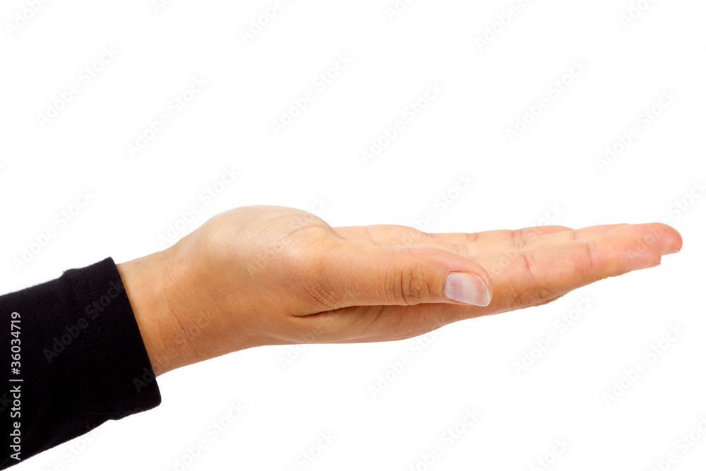 Open female hand isolated on white background Open female hand isolated on white background