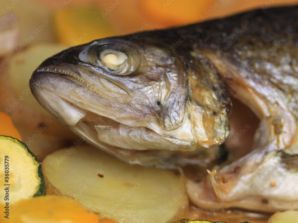 fish is ready fish is ready
