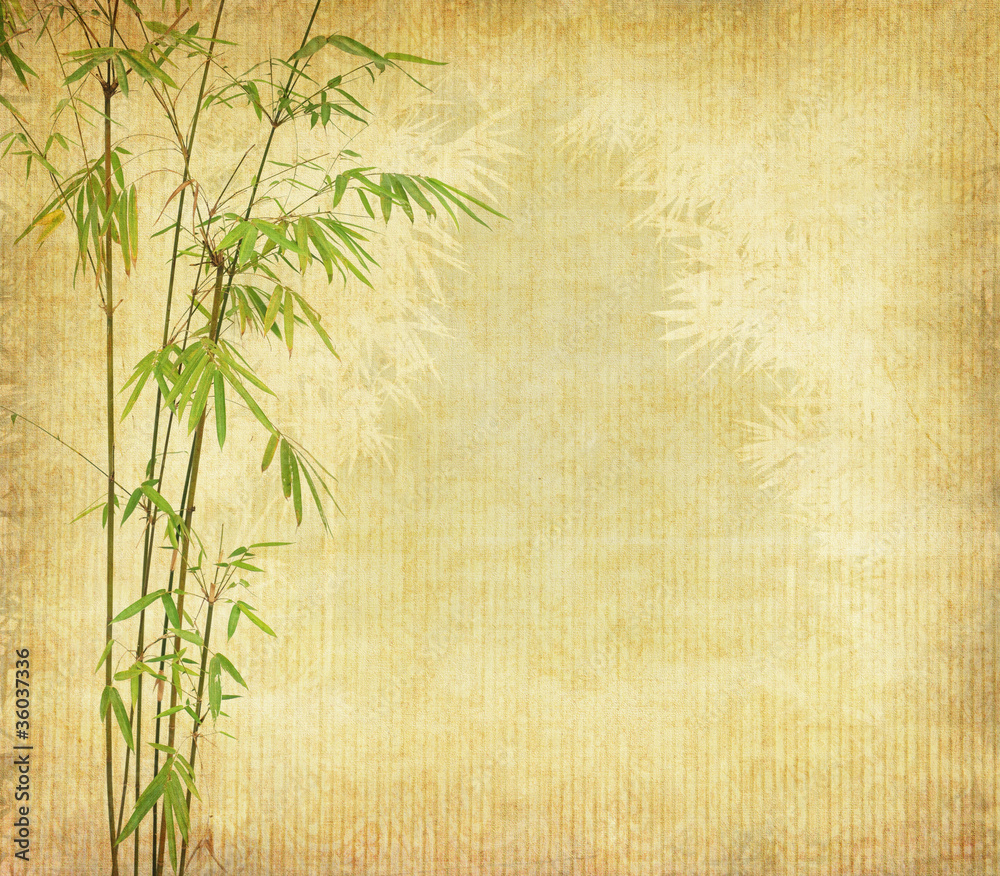 Fototapeta premium bambus na starej grunge tekstury papieru antyczne