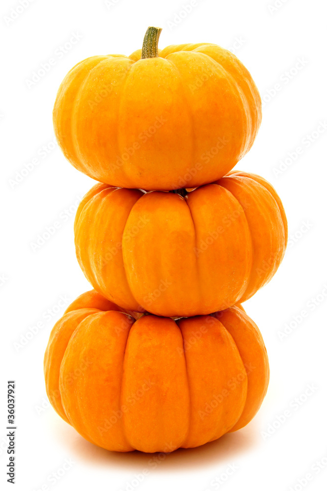 Fototapeta premium Three stacked mini pumpkins