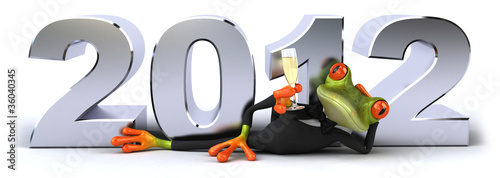 Obraz na płótnie Grenouille et 2012
