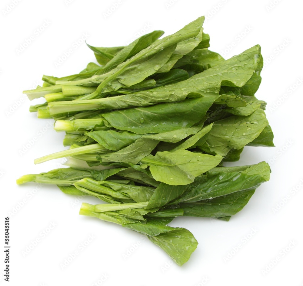 Bunch of uncooked Cantonese cabbage Bunch of uncooked Cantonese cabbage