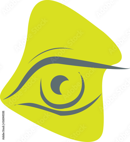 Vector human male and female eye illustration
