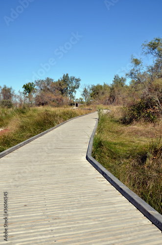 Chemin de promenade en Camargue