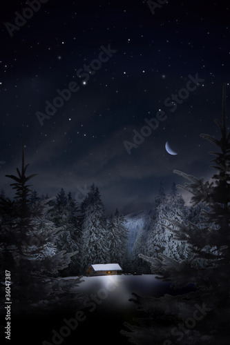 Weihnachtswald