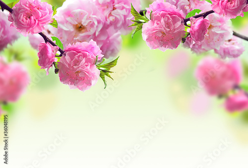 Abstract Pink Flower Design