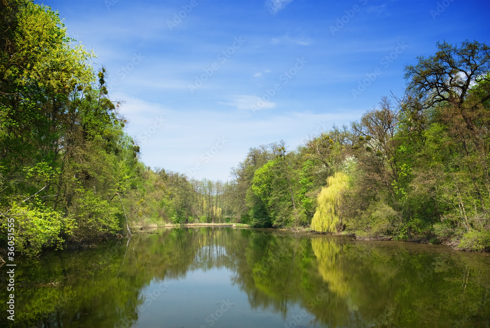 Forest lake