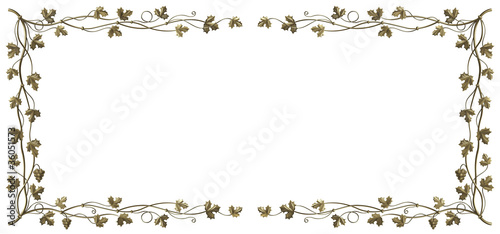 Grapevine frame