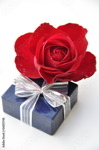 Rose en cadeau