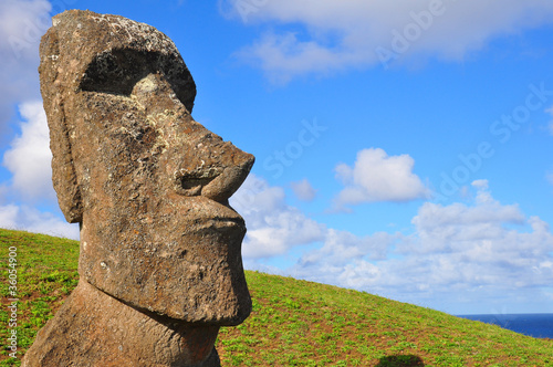 Solitary Moai on Easter Island photo