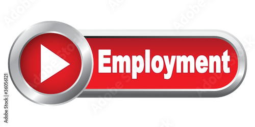 EMPLOYMENT ICON