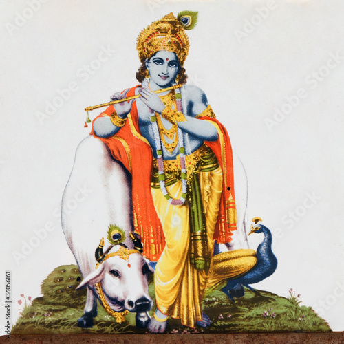 image of hindu god  Krishna with cow, peacock , flute