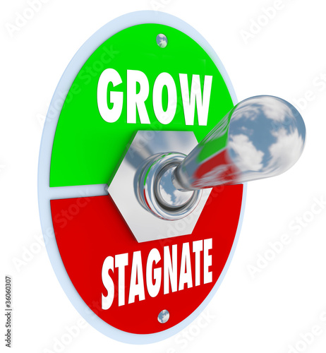 Grow Vs Stagnate - Switch to Change or Innovate and Succeed photo