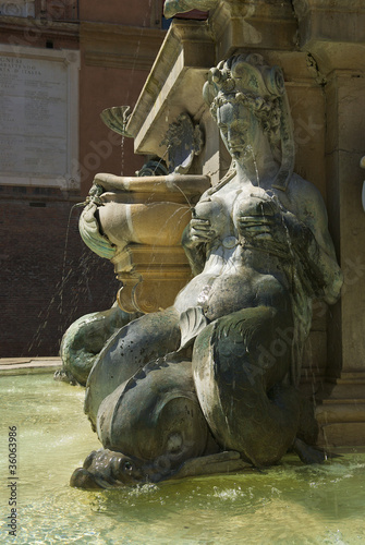 Particolare della Fontana del Nettuno, Bologna