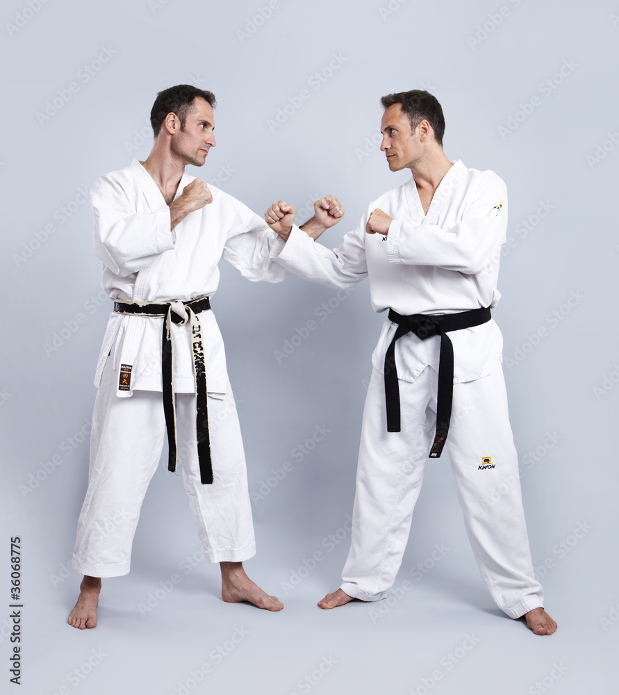 Karate vs Taekwondo, Grundhaltung