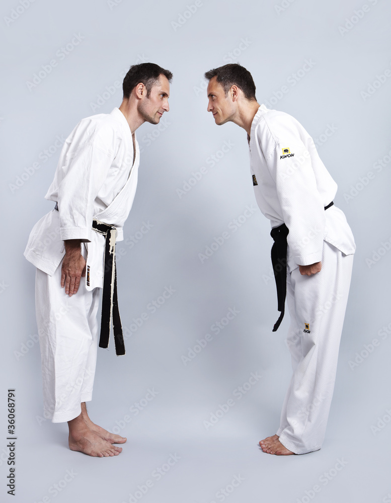 Karate vs Taekwondo, Verbeugung