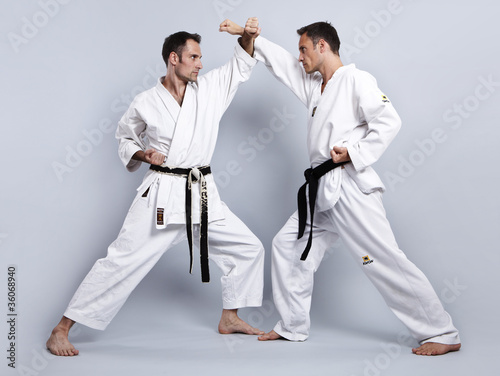 Karate vs Taekwondo, Partnertraining 04