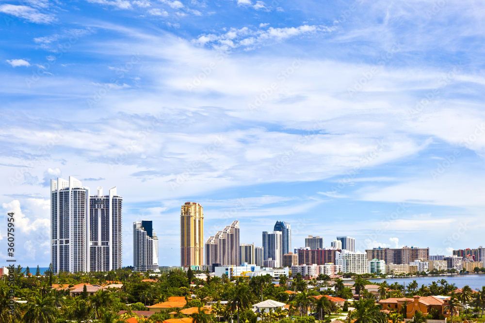 Fototapeta premium Skyline of the city of Miami, Florida.