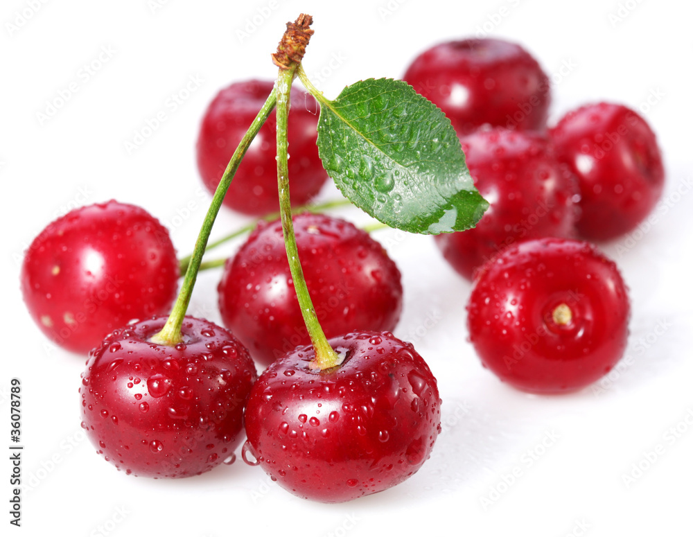 Cherries. Isolated on a white Cherries. Isolated on a white